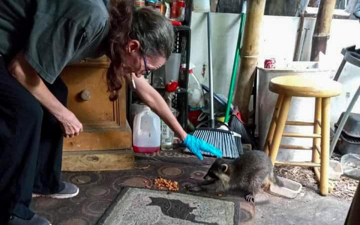 To Live Outside: Kitty