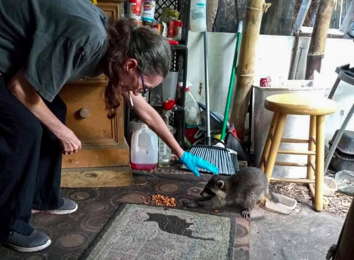 To Live Outside: Kitty