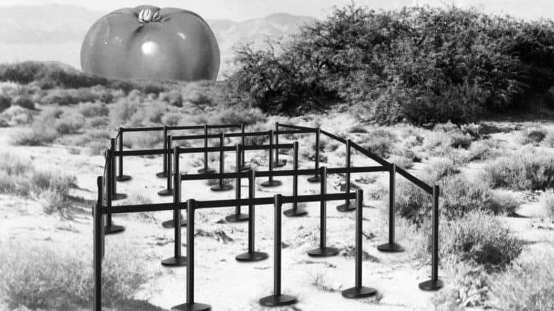 Barriers Increasing Between the Unhoused and Food