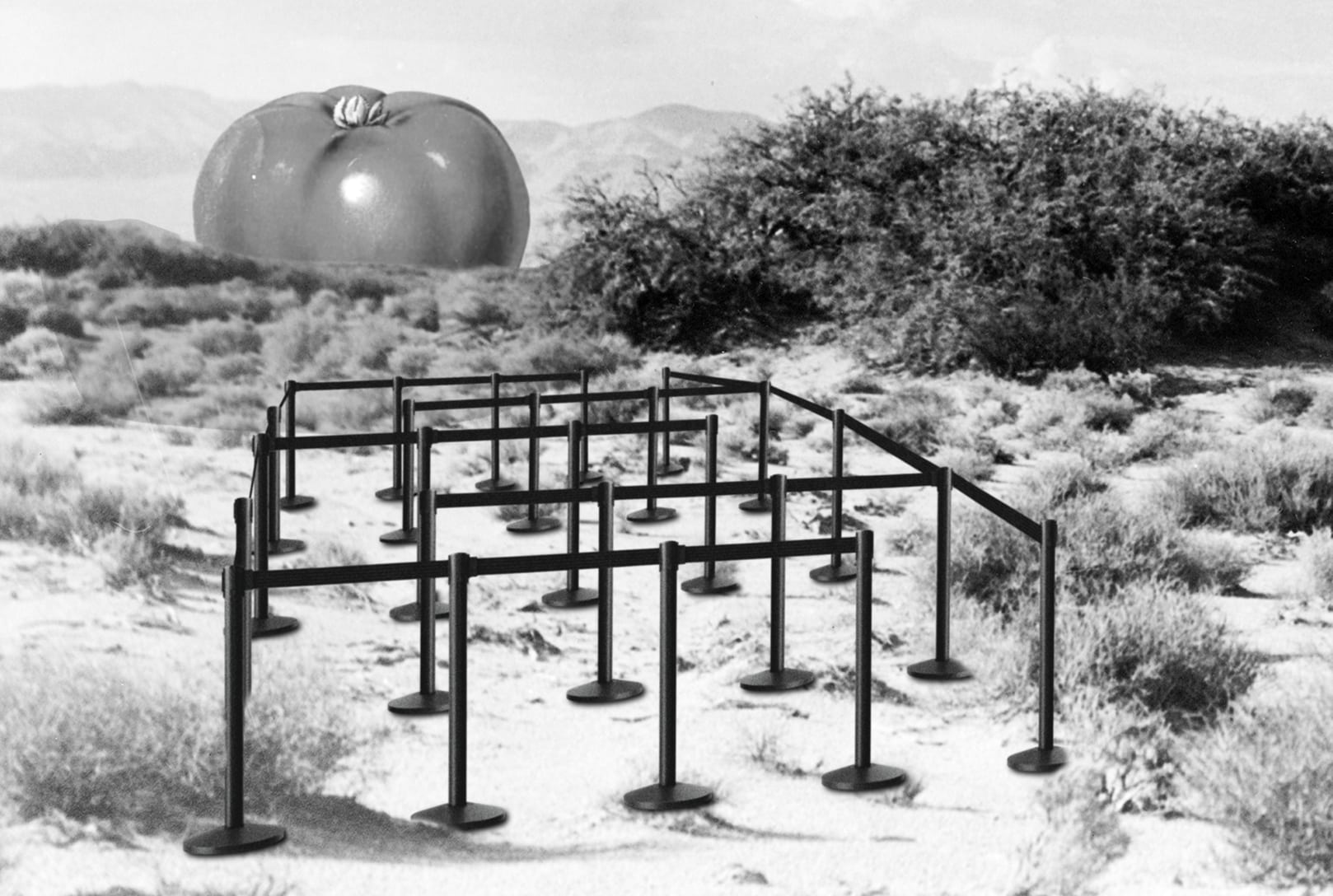 Barriers Increasing Between the Unhoused and Food